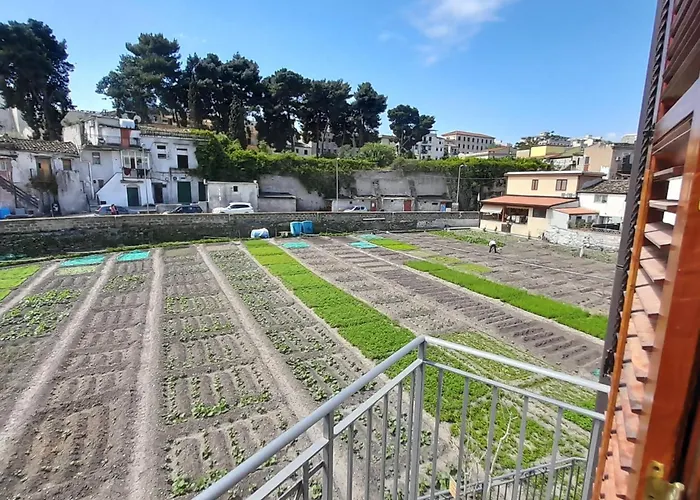 Enzo's 4* Palermo