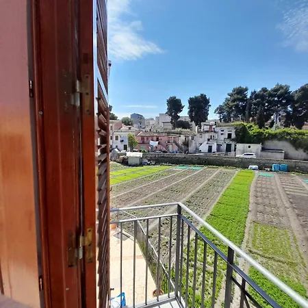 Enzo's Bed & Breakfast