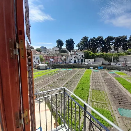 Bed & Breakfast Enzo's 4*