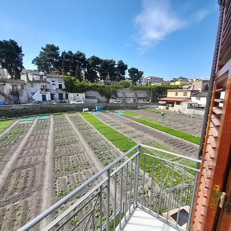 Enzo's 4* Palermo